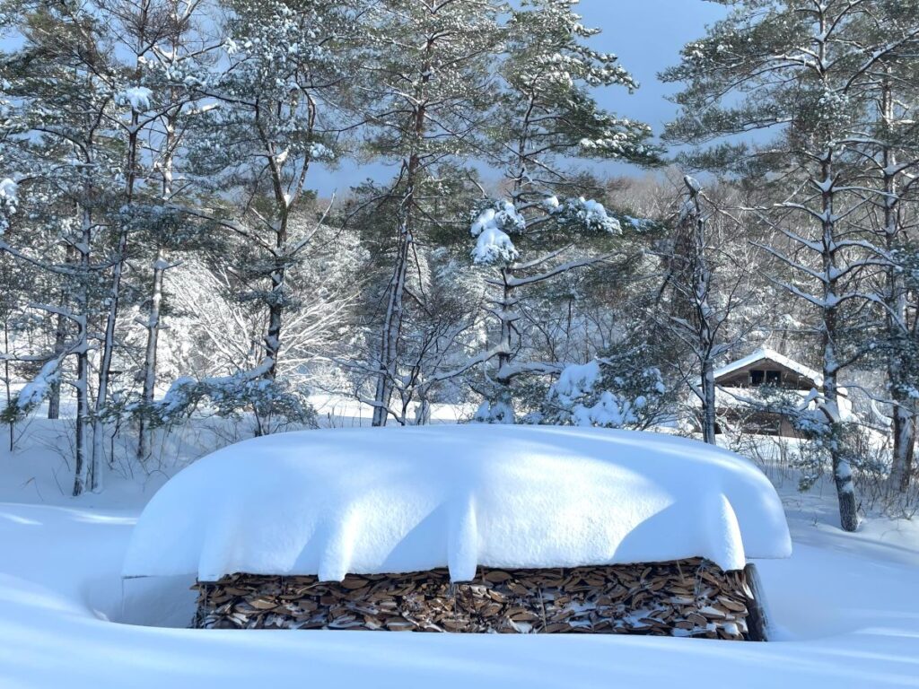 雪を被った冬の薪棚