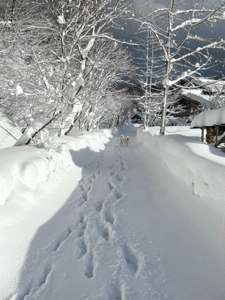 よろみ村の冬景色