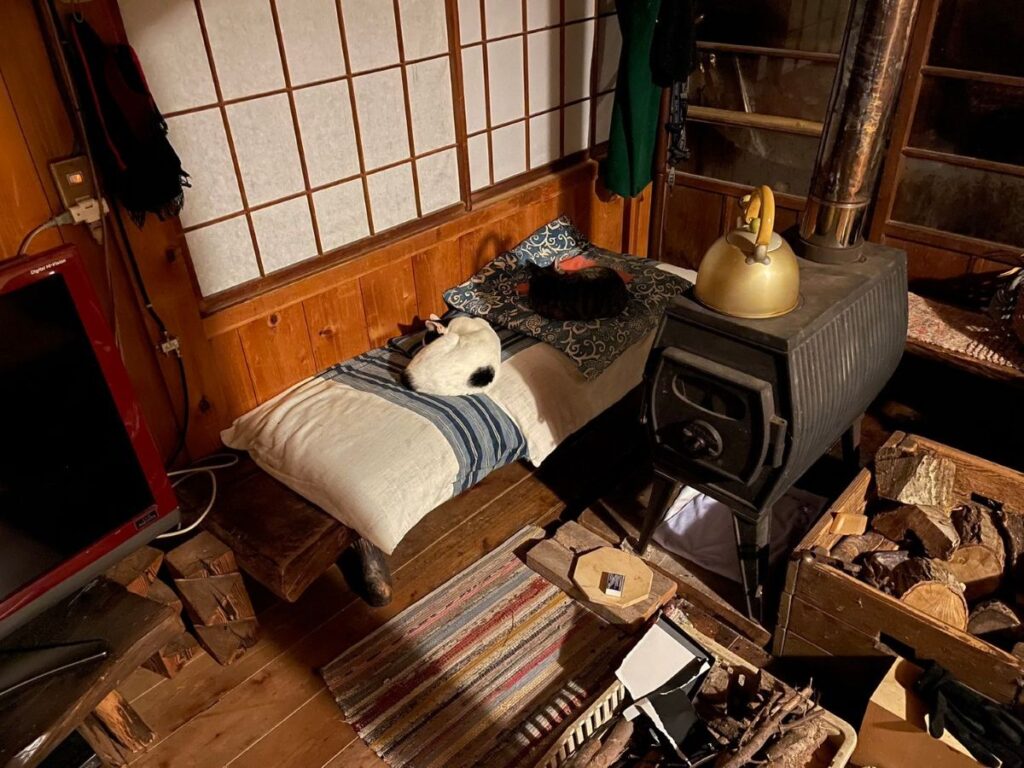 薪ストーブと猫