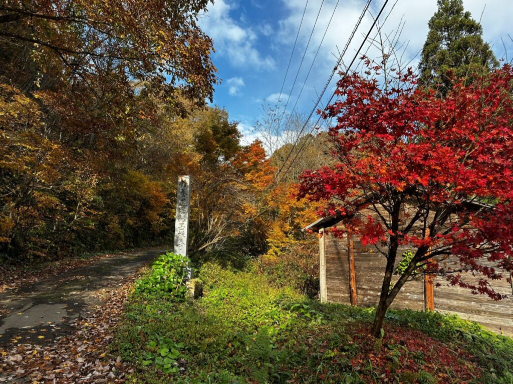 秋の龍昌寺参道